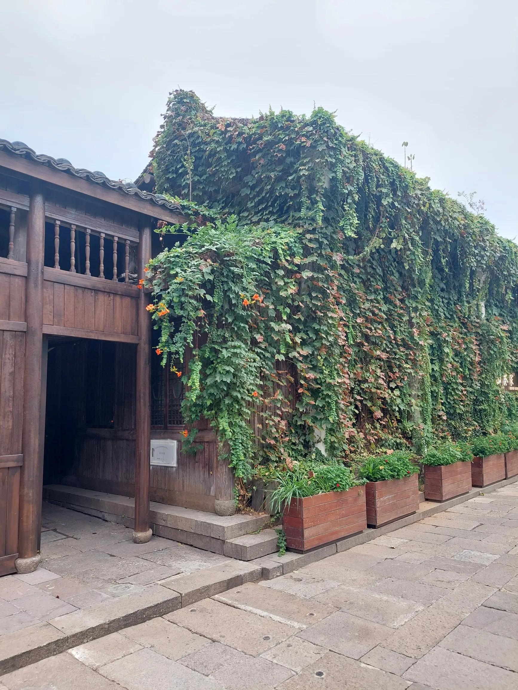 猪八戒职场生存法则,猪八戒的职场智慧