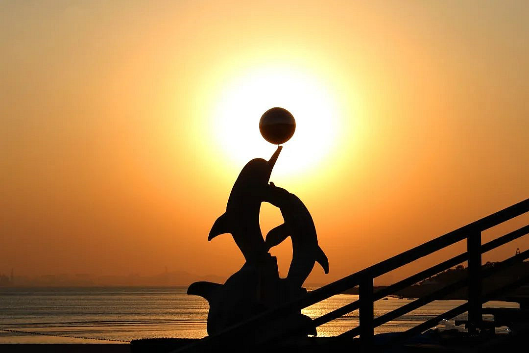 青岛最美摄影作品,青岛摄影师现状