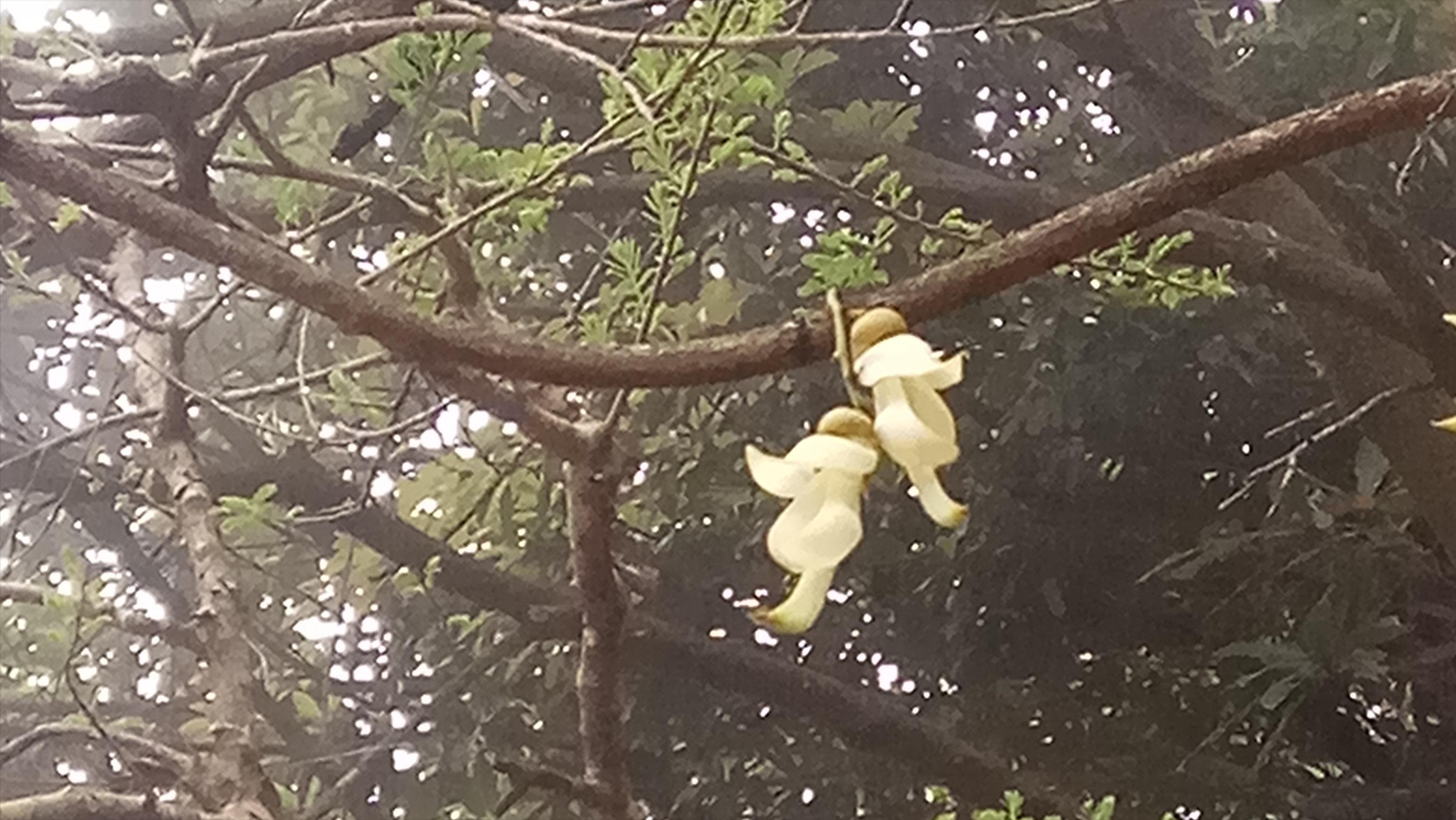 成功特质顶尖人士的51种品质,真正成功的人都有一个共同特质