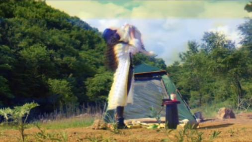 猫界顶流刘二豆,喵界顶流二豆