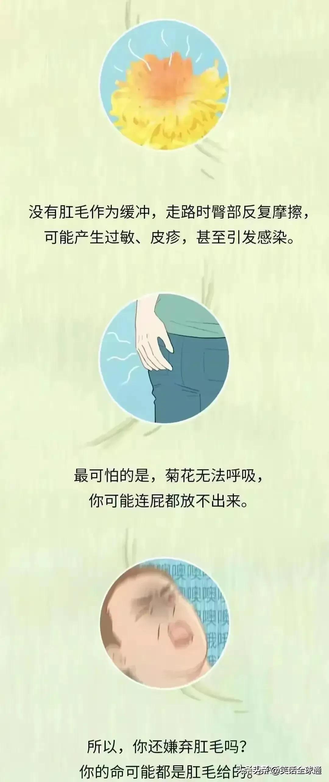 菊花毛、*处私**的毛能随便剃吗？有危害吗？