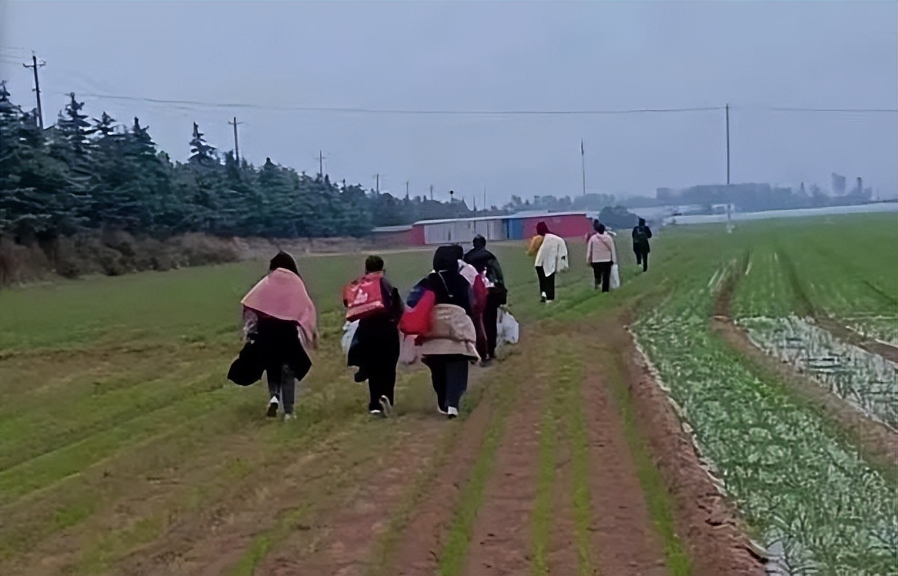 富士康实情视频,富士康的来龙去脉