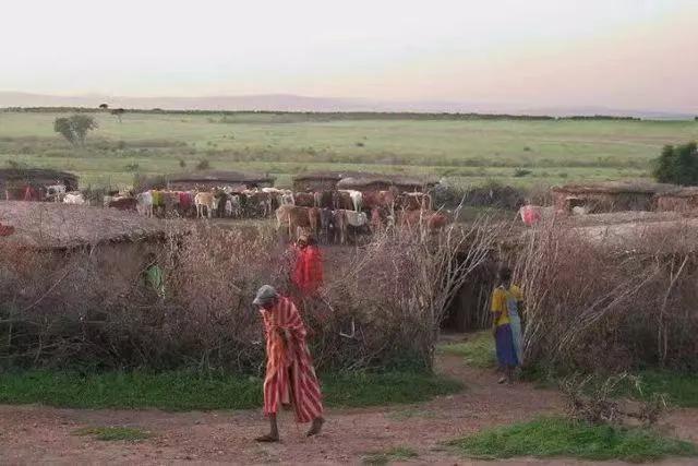 非洲什么族杀狮子最厉害,哪个国家成人礼是单杀一头狮子
