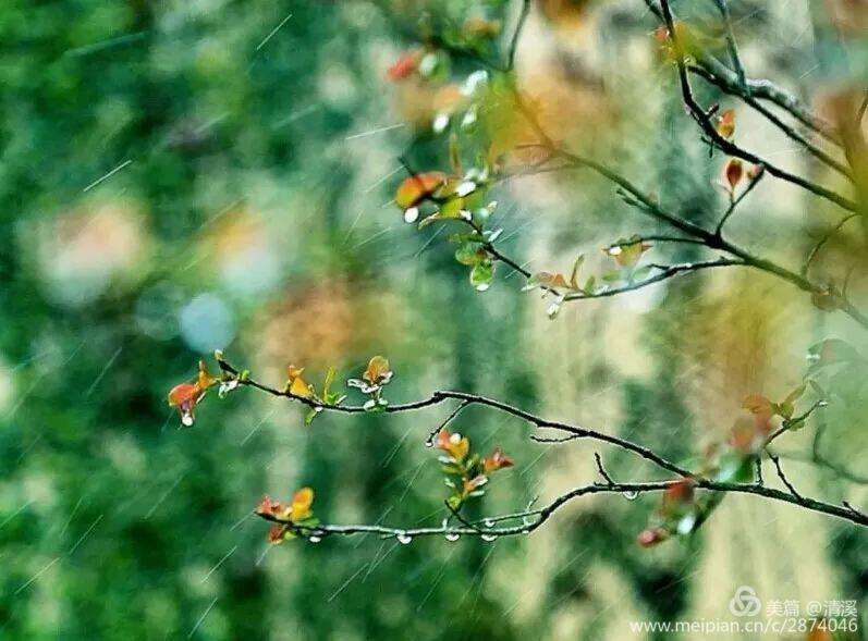 山青的古诗词,诗句中有山青花欲燃的句子