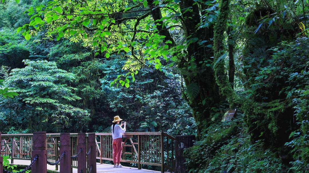 洪雅避暑哪里最好玩,洪雅避暑景点推荐