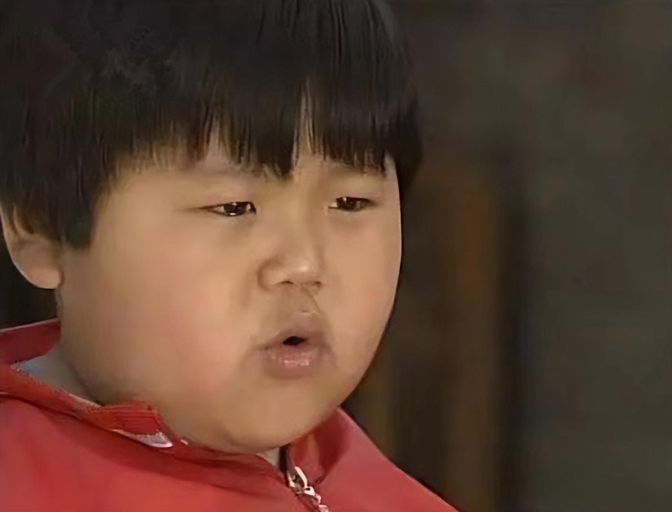 小龙人贝贝陈辰访谈视频,小龙人贝贝扮演者家庭