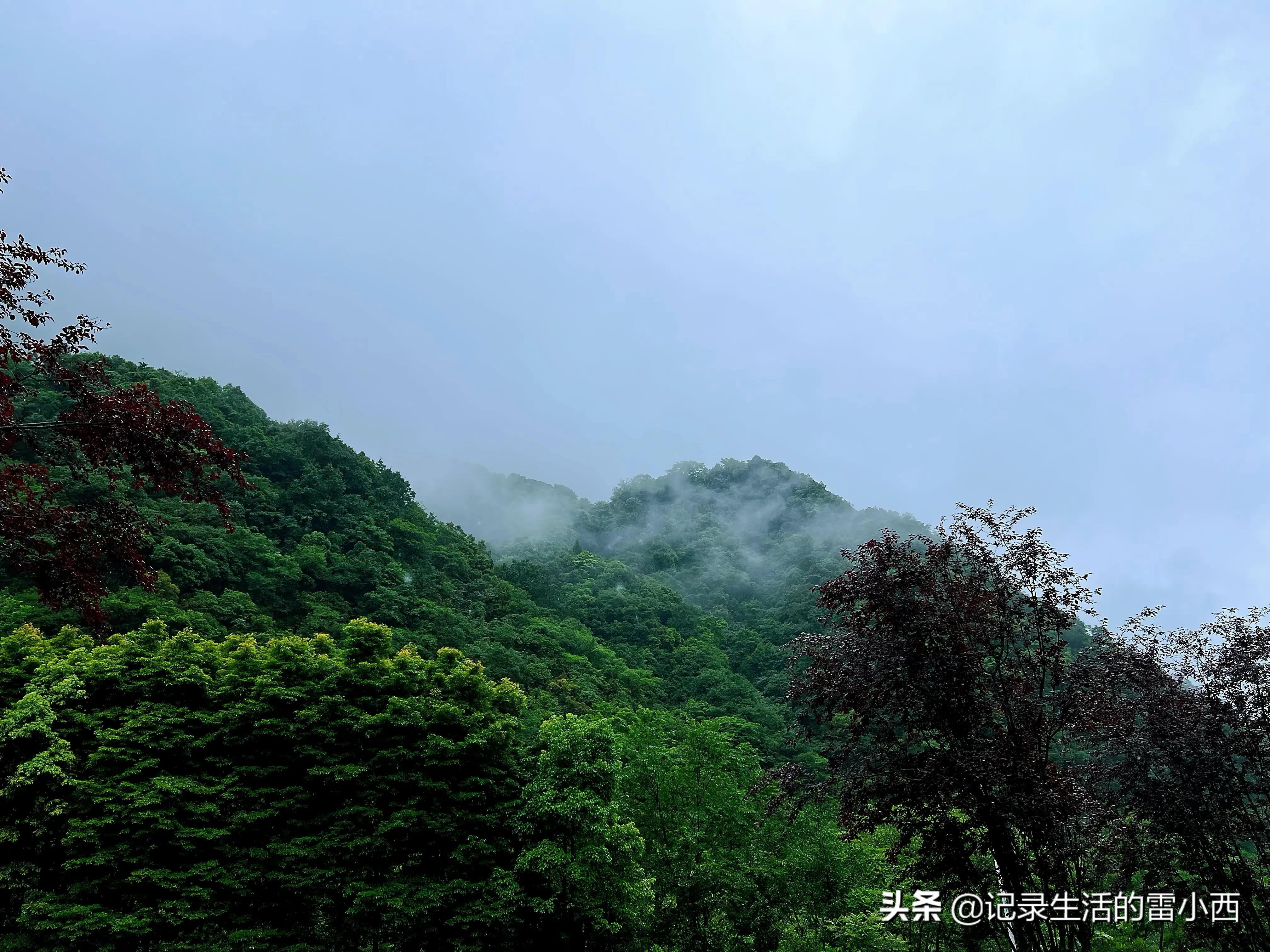 重庆到黑山谷景区怎么坐车,重庆黑山谷自驾游一天