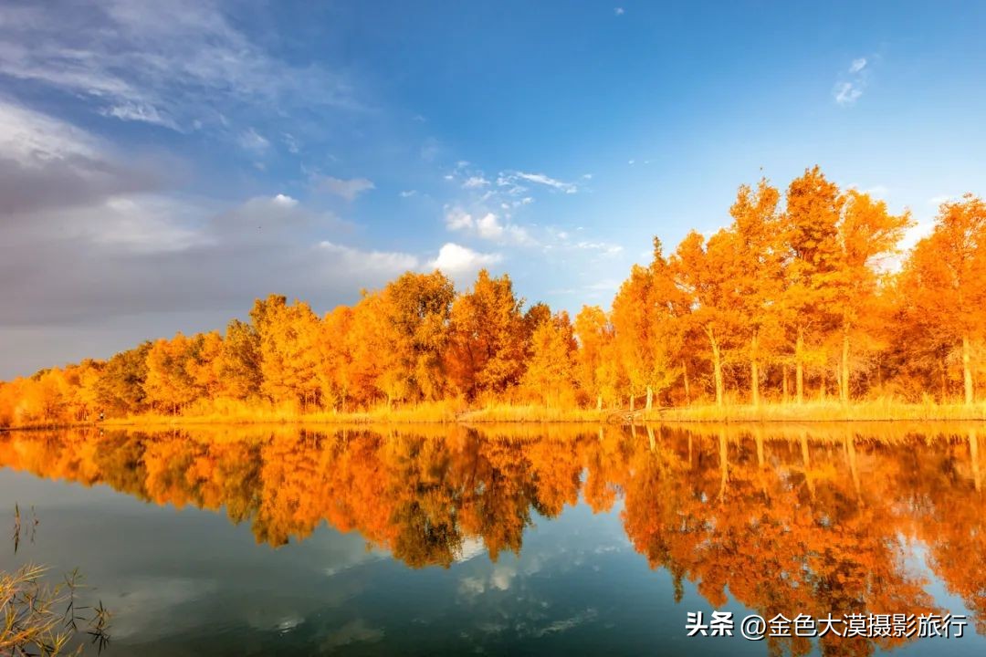 额济纳赏胡杨视频,赤峰额济纳赏胡杨