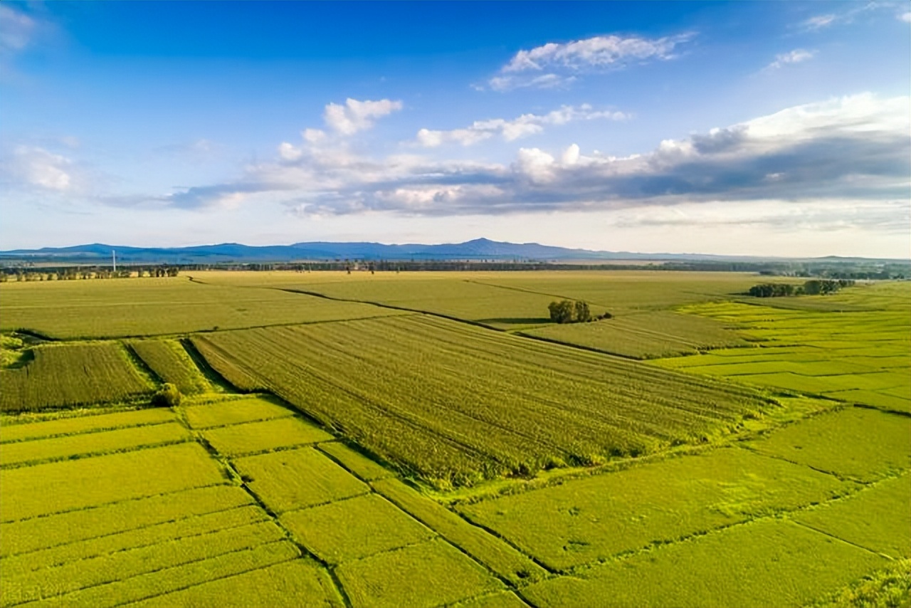 北大荒为什么退林还耕,北大荒当年咋样开垦的