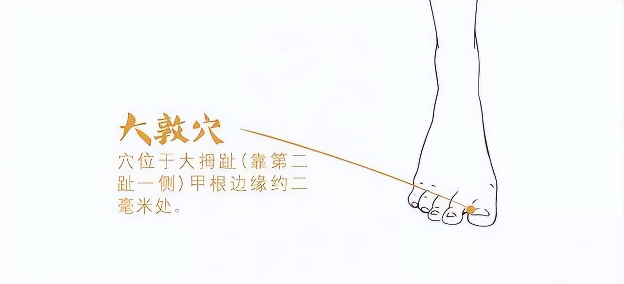 玫子科普：十二经脉，足厥阴肝经——血液中的清道夫