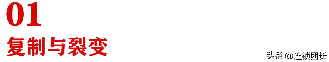 平台加盟商业模式,加盟联营创业模式