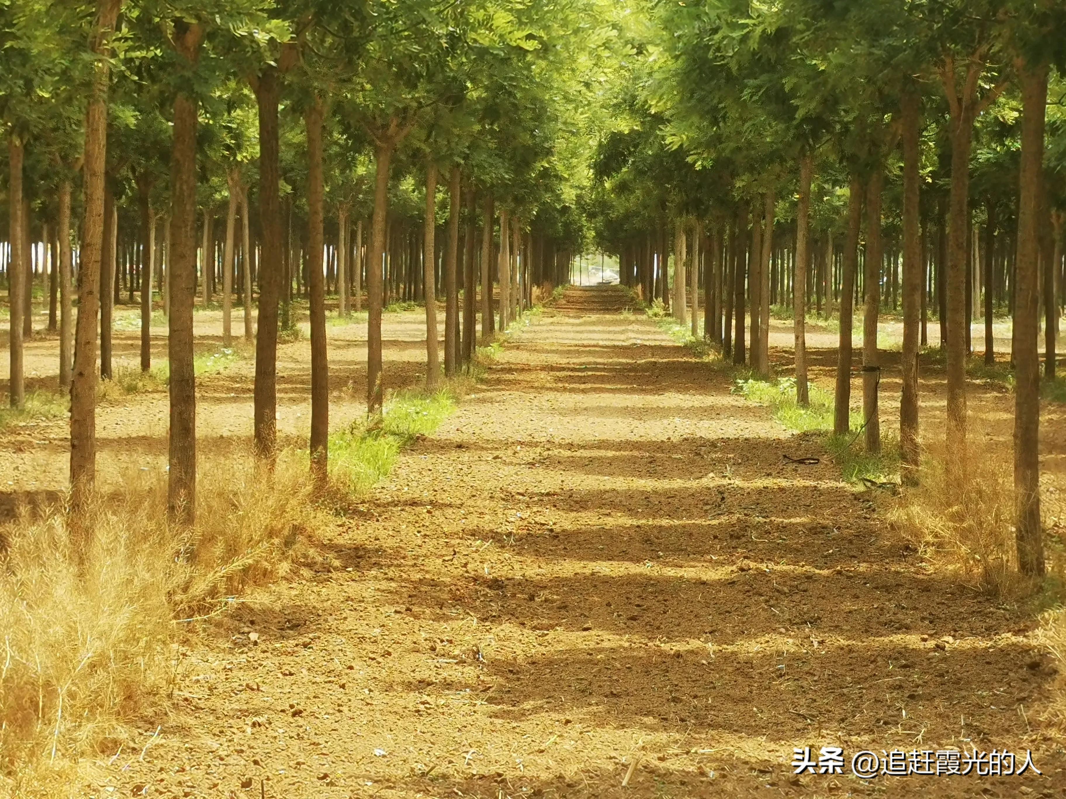 在哪里能租到北京的农家小院,北京哪里可以租农村小院