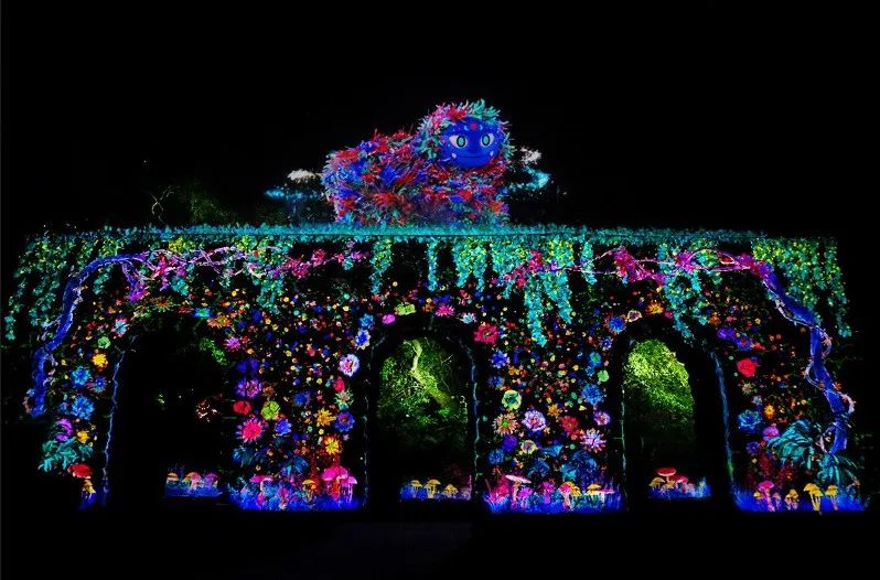 分享美景行走山水间,分享夜晚美景记录生活