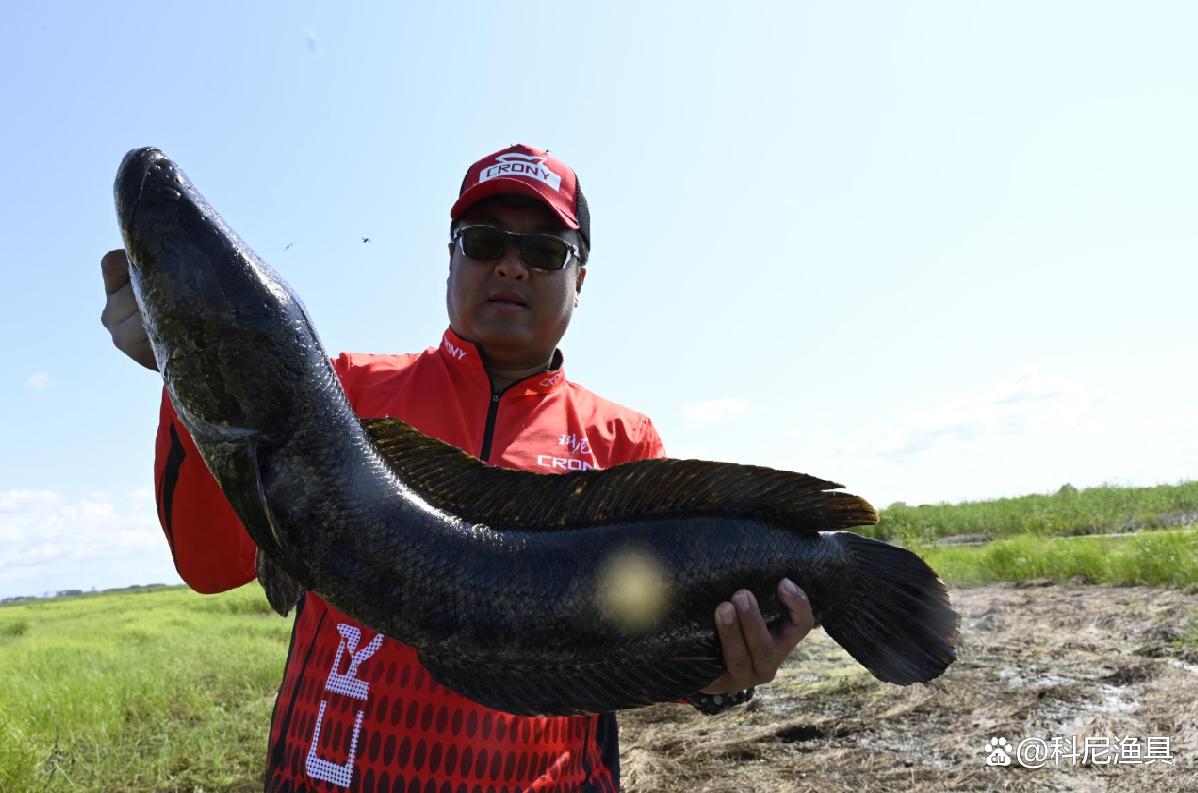 路亚打黑是什么原因引起的,路亚打黑最新视频