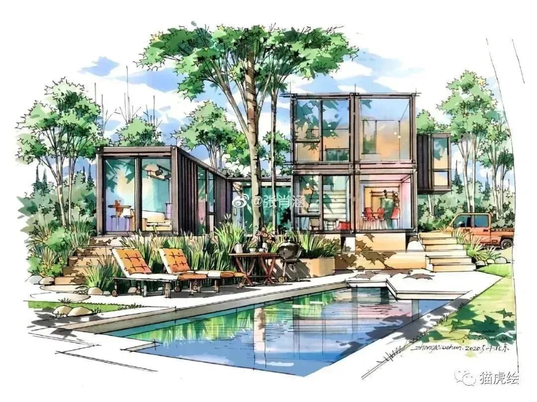 猫虎画,猫虎绘画