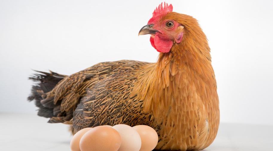 全喉切除术死亡率,传喉和传支治疗方案是一样的吗