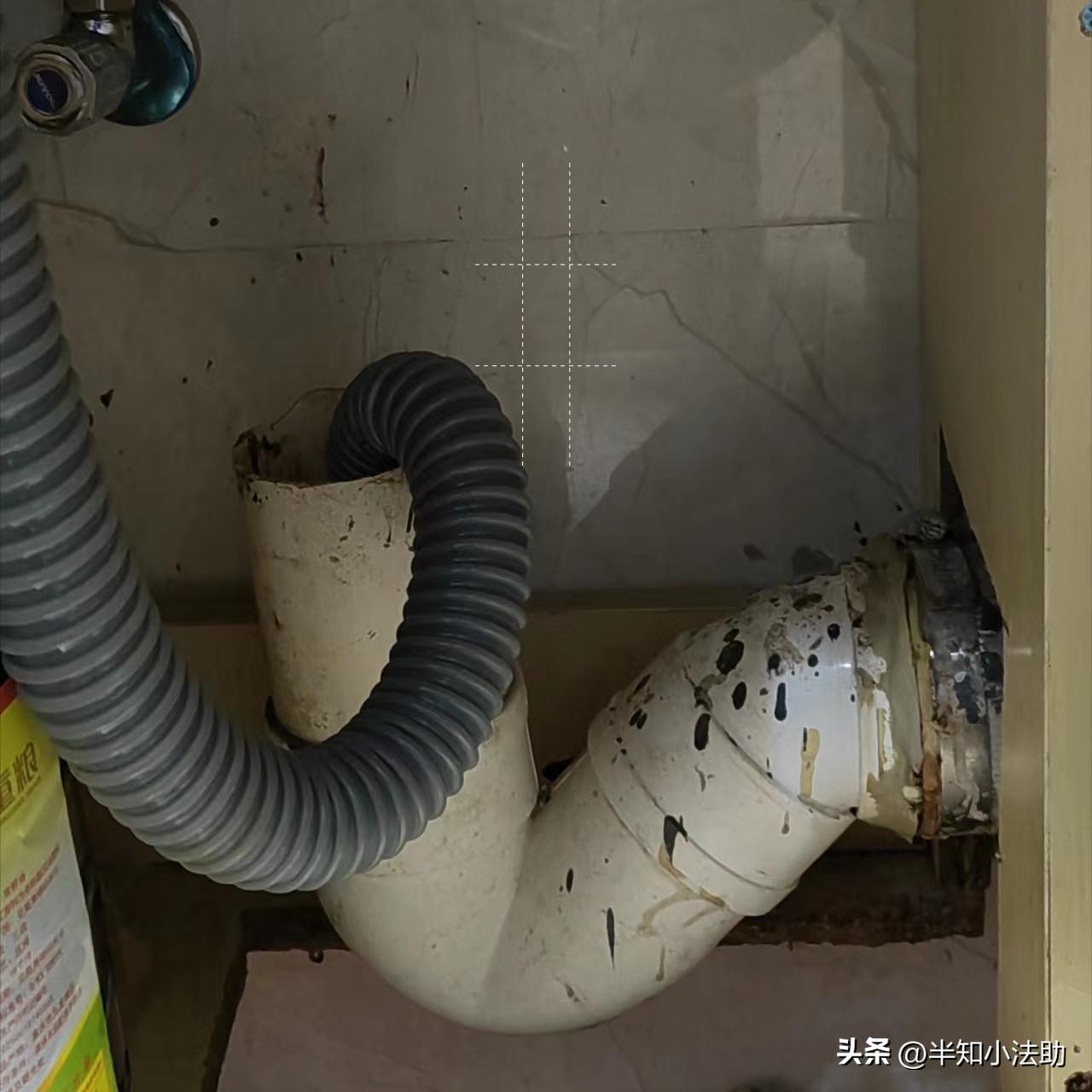 来自一家老中青三代四口人的奥米克戎测评