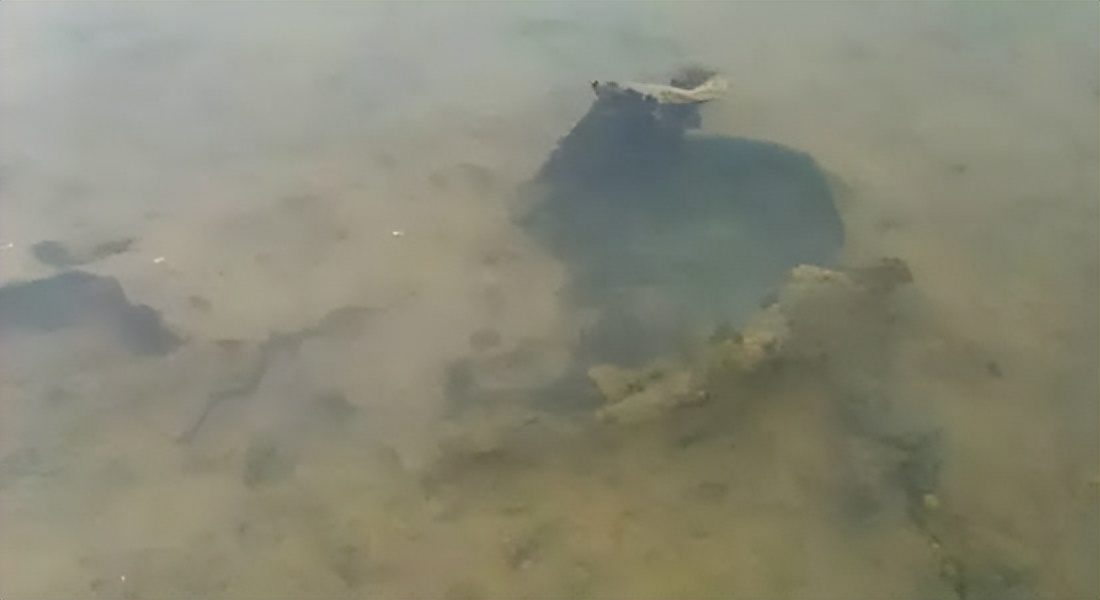 养殖塘泥皮,养殖塘产生泥皮的处理方法