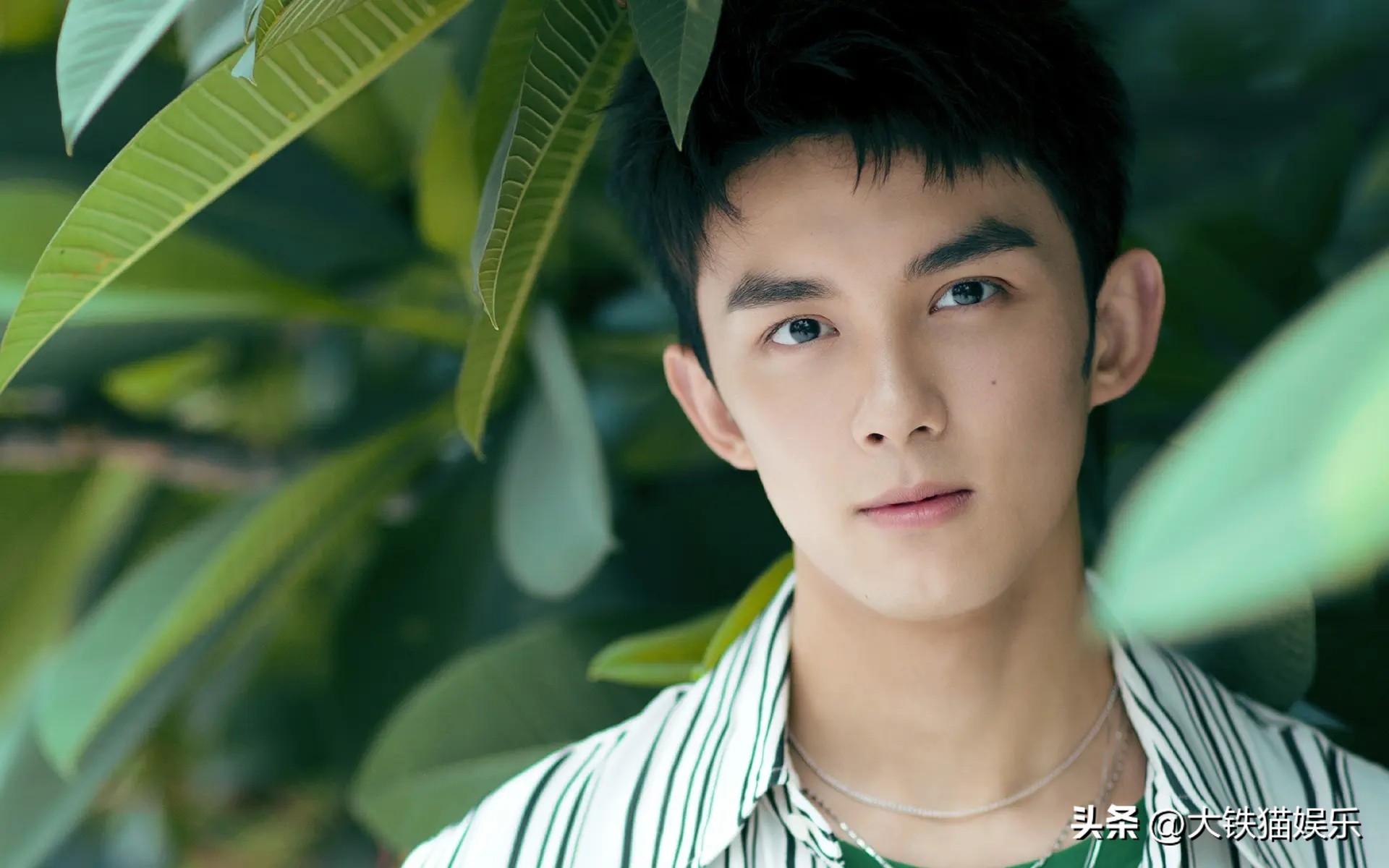 嘴巴不好看的男生可以整好看吗,嘴巴不太好看的男明星