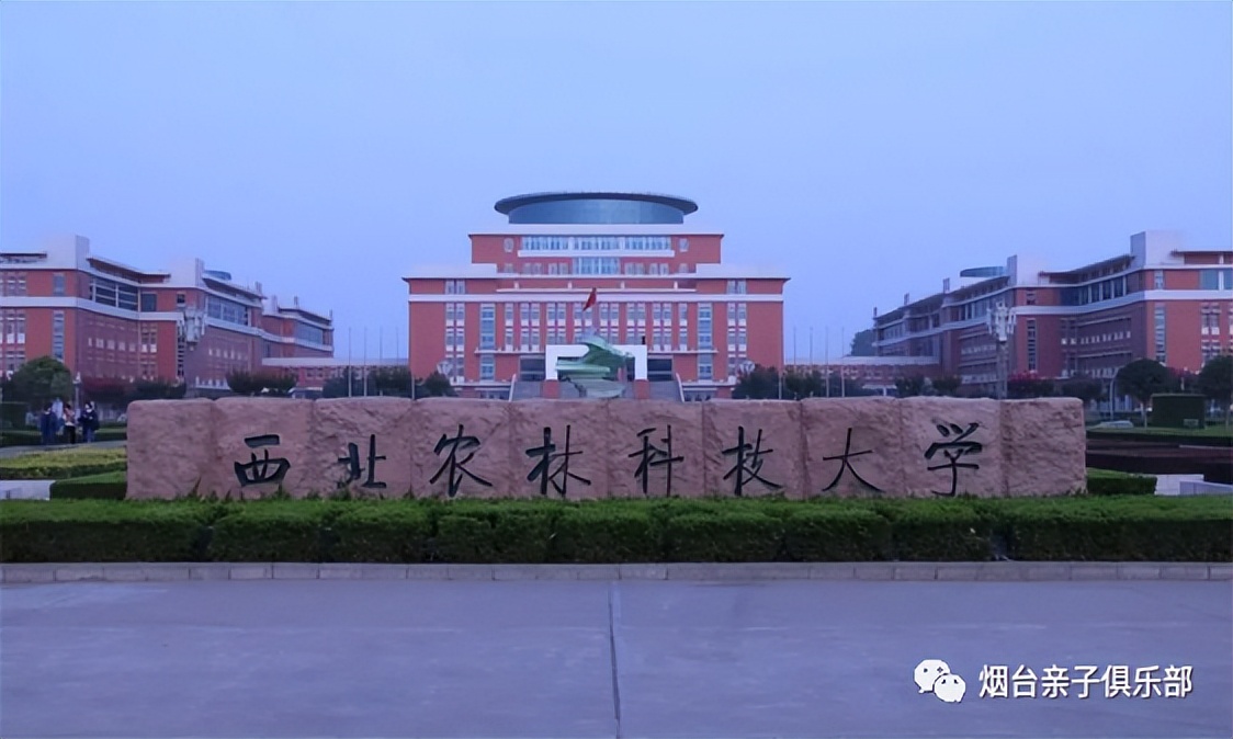 国内top10的985高校有哪些,985高校排名及顶尖专业