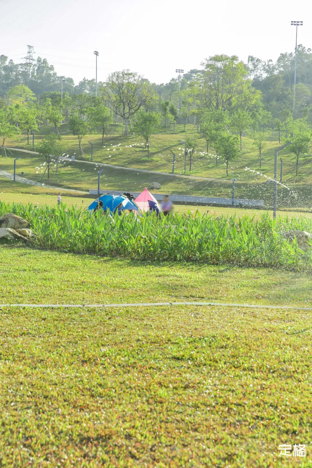 雨林打卡网红地滑梯,深圳哪里有超大型滑梯