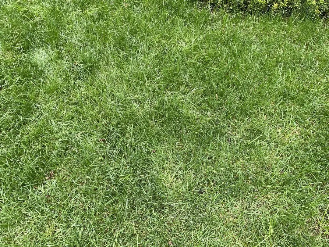 深度评房万科澜岸,万科澜岸交付质量