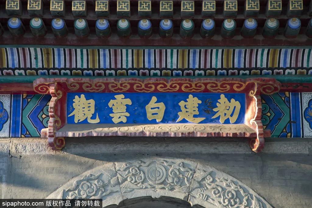 故宫御猫最火的猫,北京故宫的猫为什么叫御猫