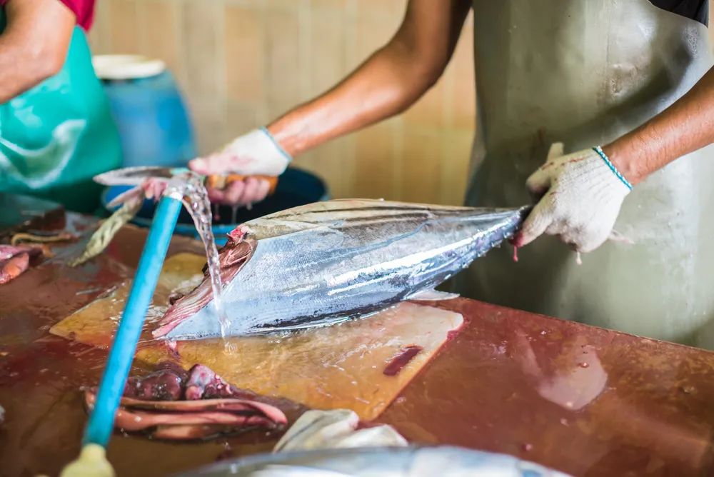 海岛度假最好的地方,最舒服的海岛度假推荐