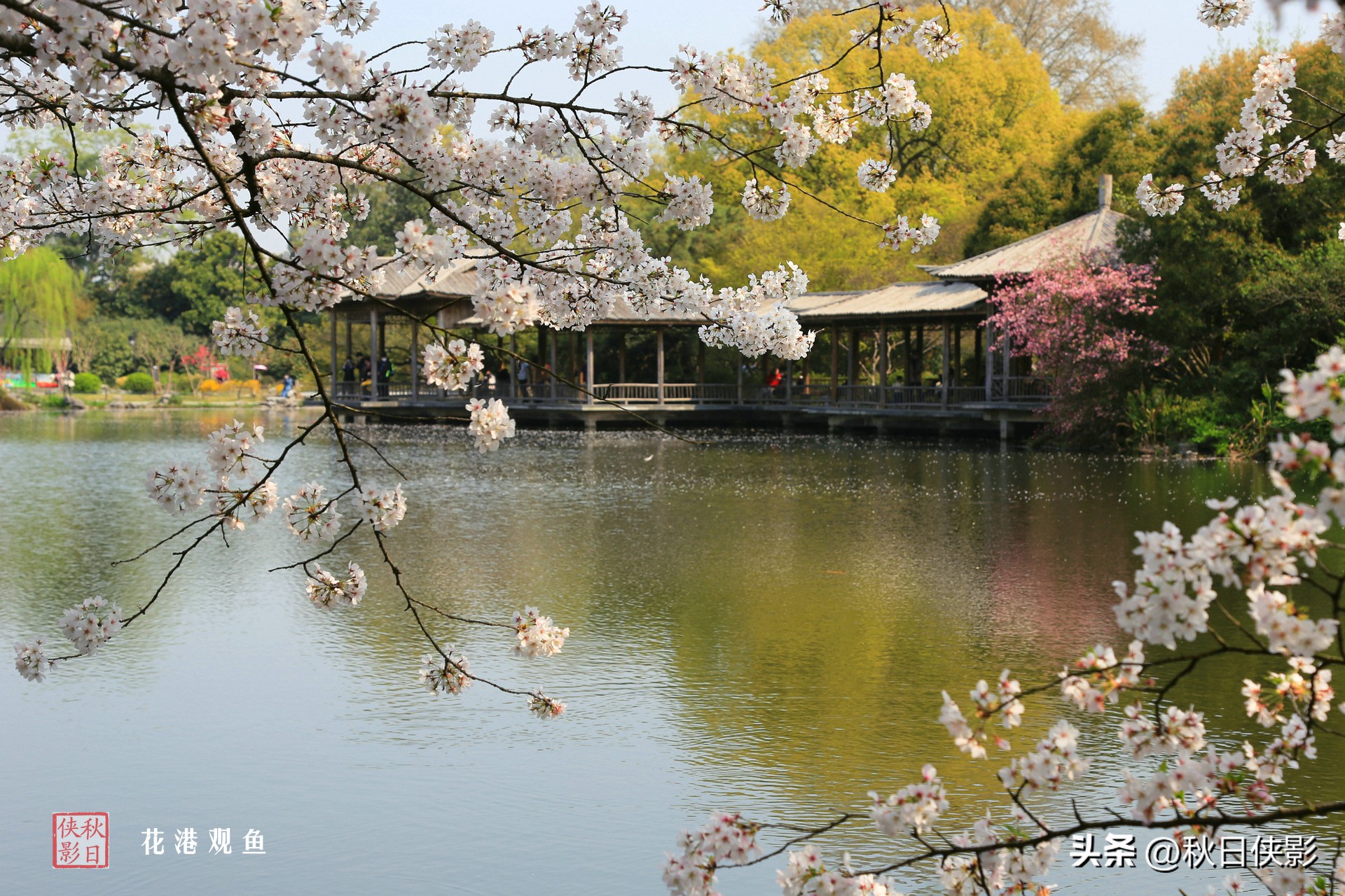 杭州西湖景点地图全图,春节杭州西湖免费景点