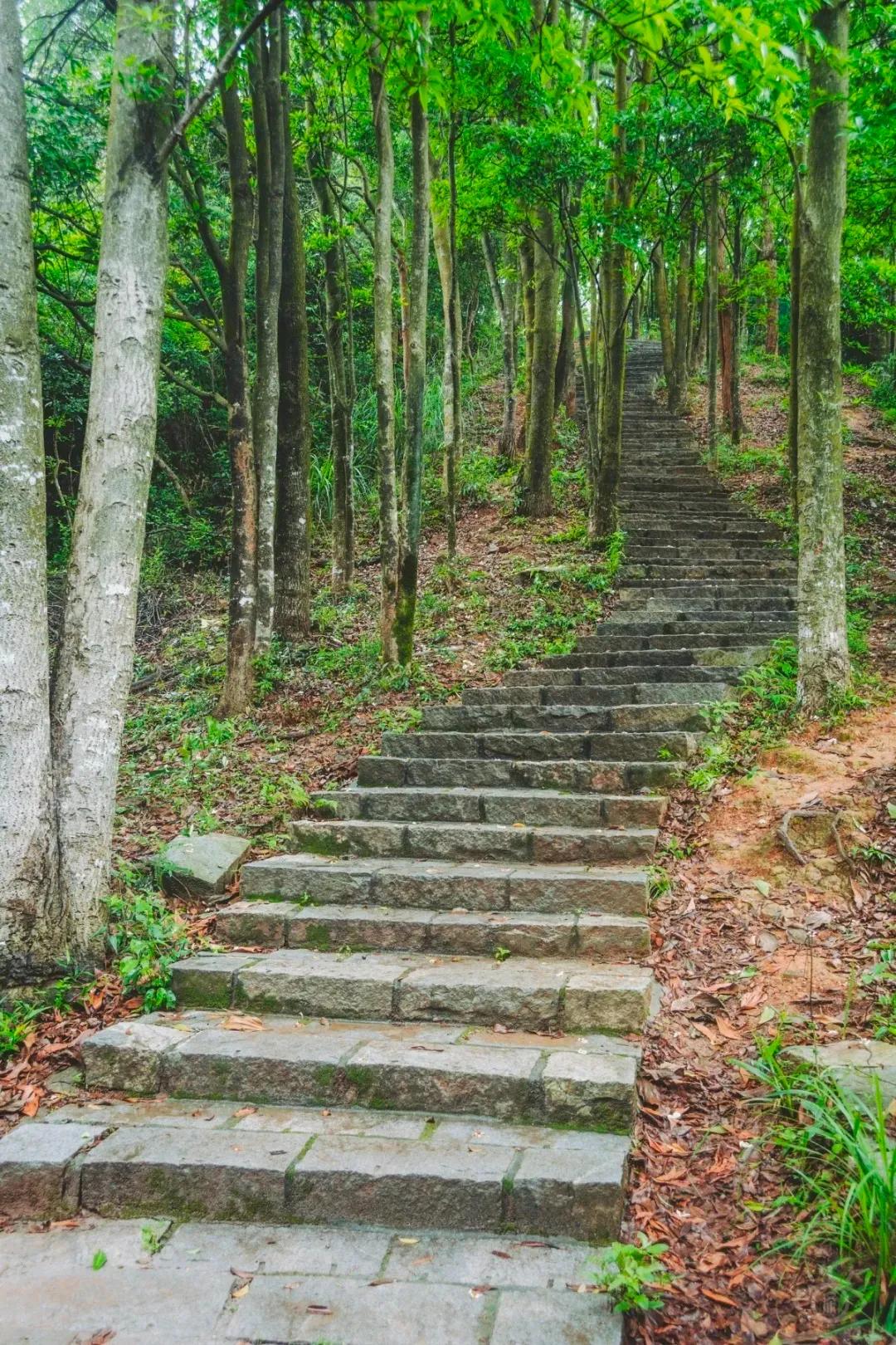 深圳最值得爬的景点,深圳十大最值得爬的山
