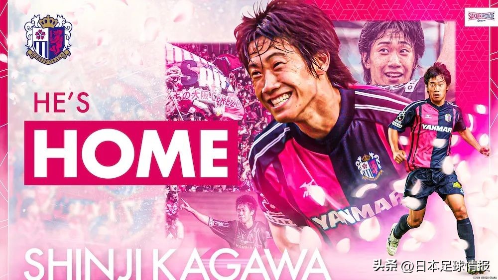 2024赛季日职联各队巡礼,今日日职联大阪樱花预测