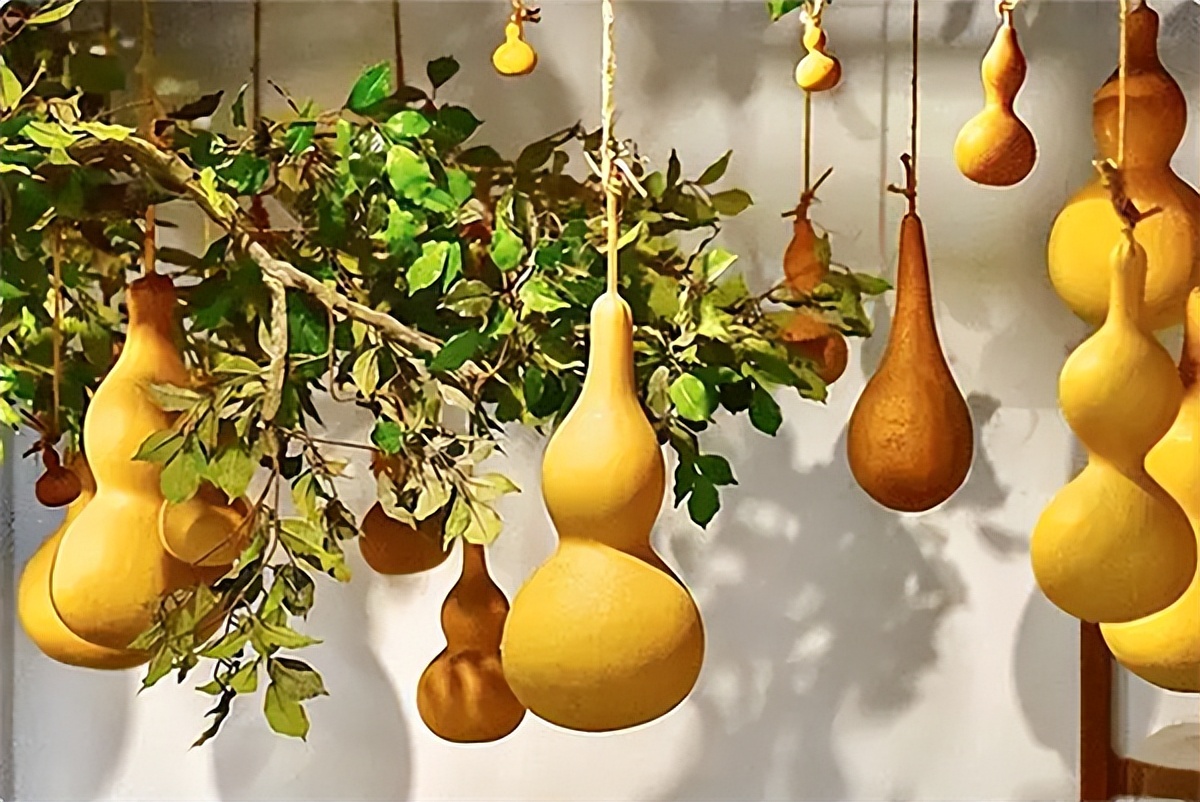 家中致富放哪四物,家中放四物越过越旺