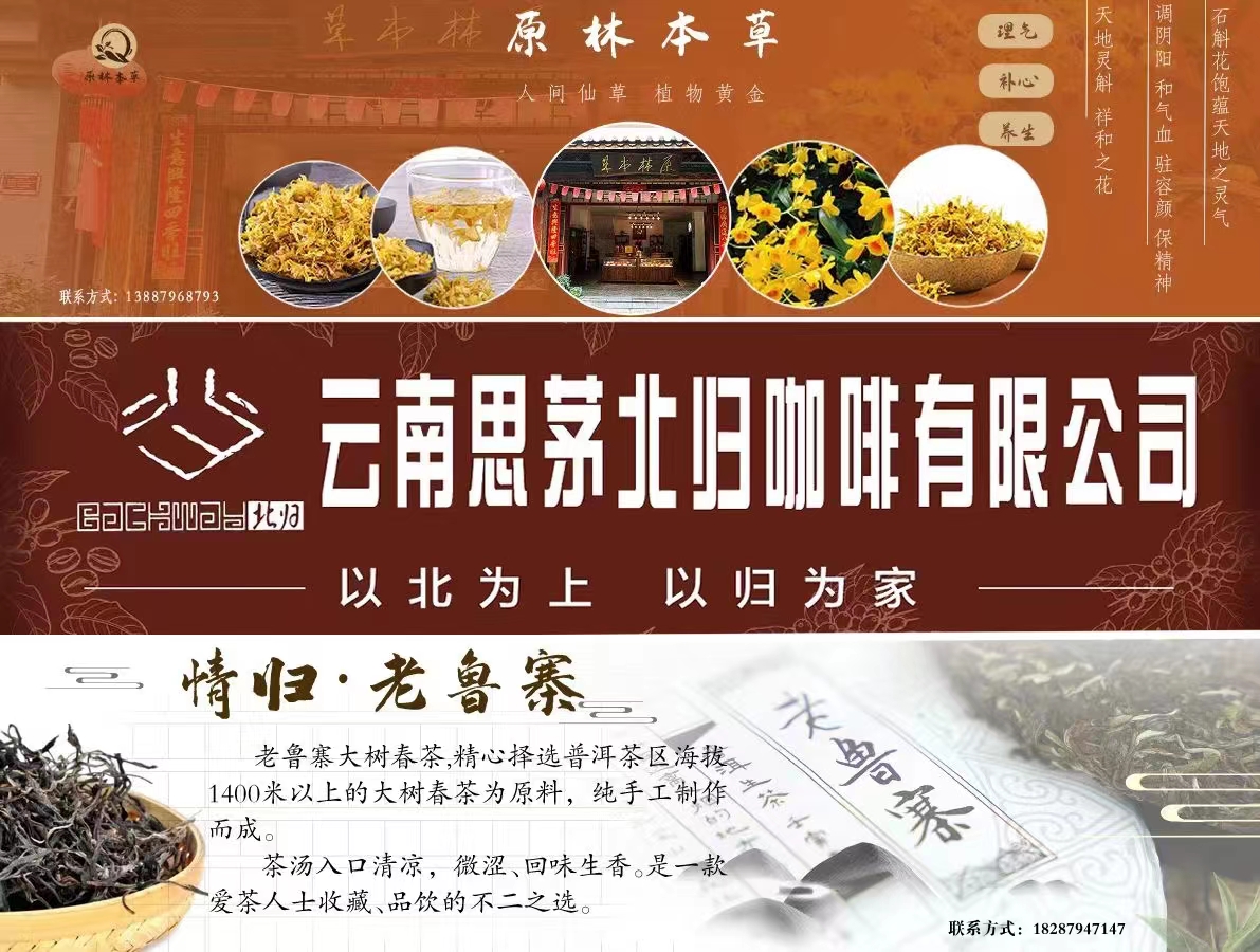 思茅区公租房交租金,思茅区公租房涨租