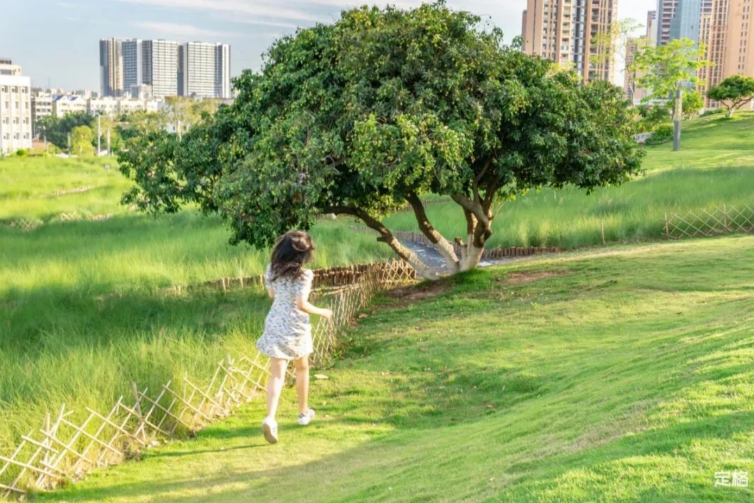 深圳免费露营的公园推荐,深圳22个露营公园