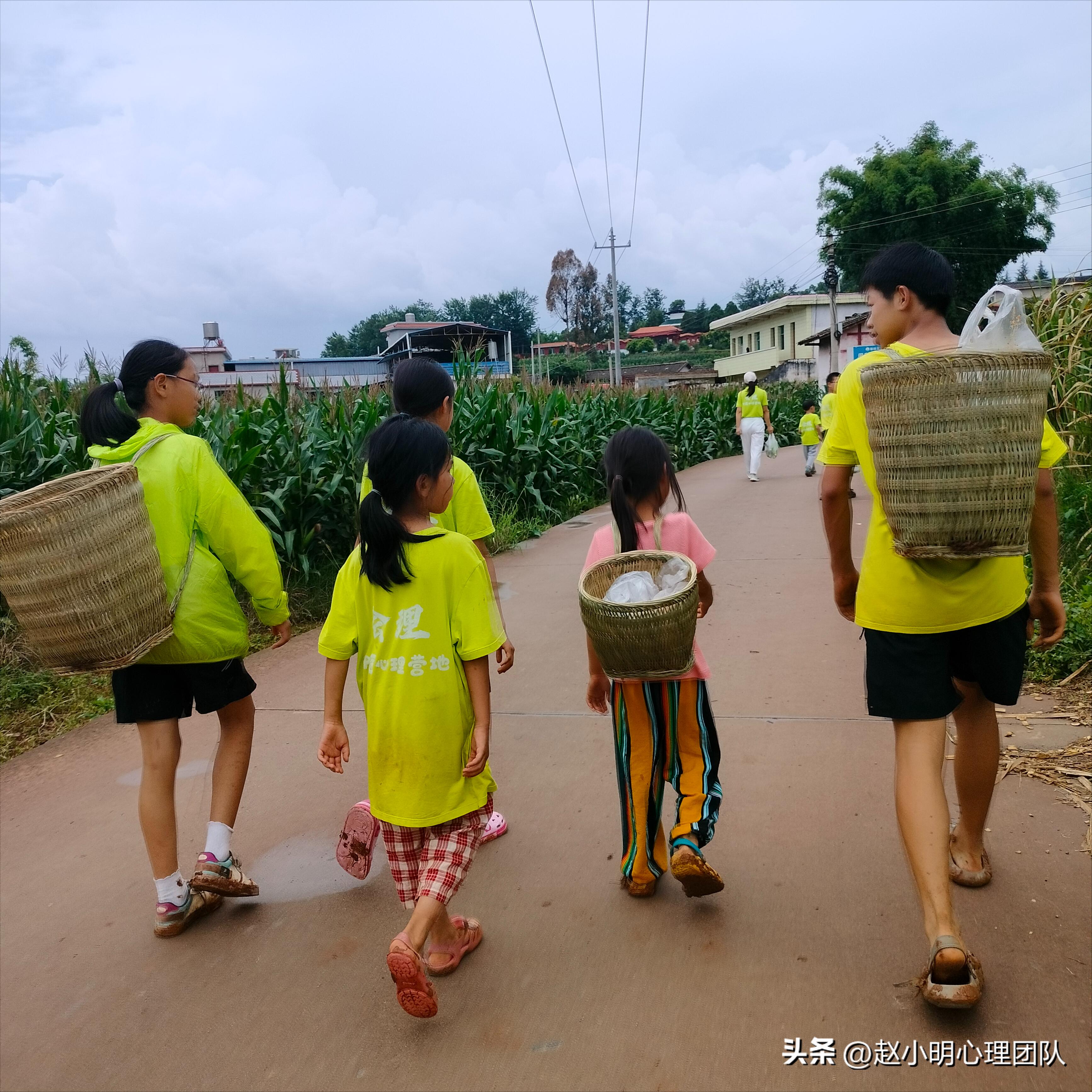赵小明有效思维,赵小明心理学是哪个流派
