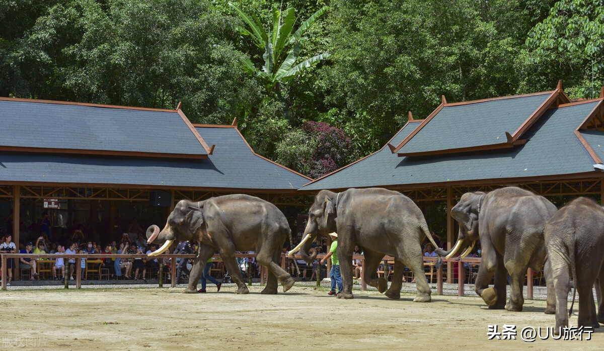 西双版纳春节防疫最新规定,西双版纳各个旅游景点防疫政策