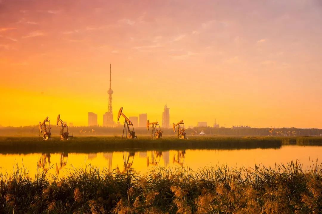 快看！黑龙江各地都被哪些萌货代表了？