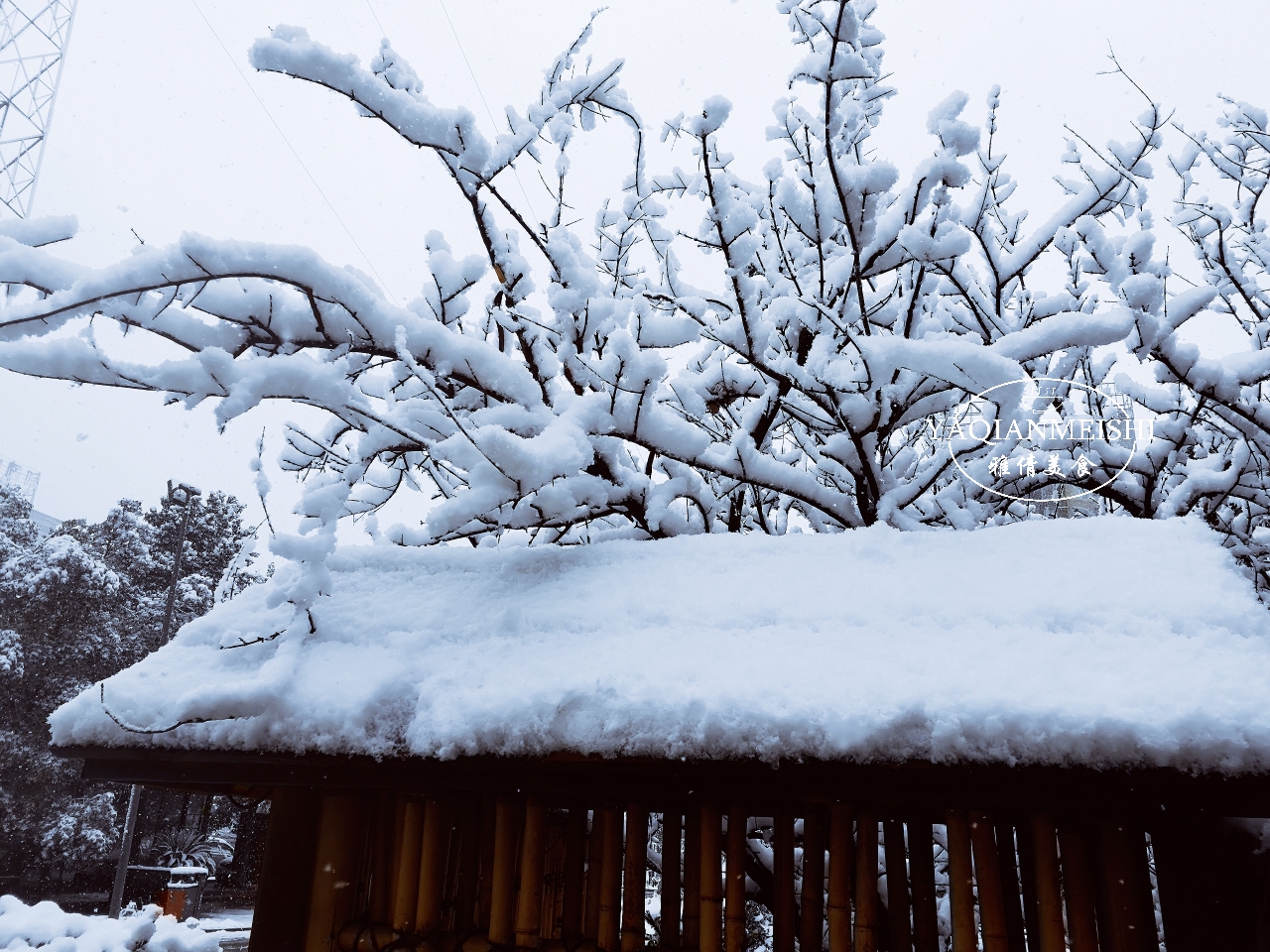 中老年人吃的钙片易吸收,中老年人吃钙片功效
