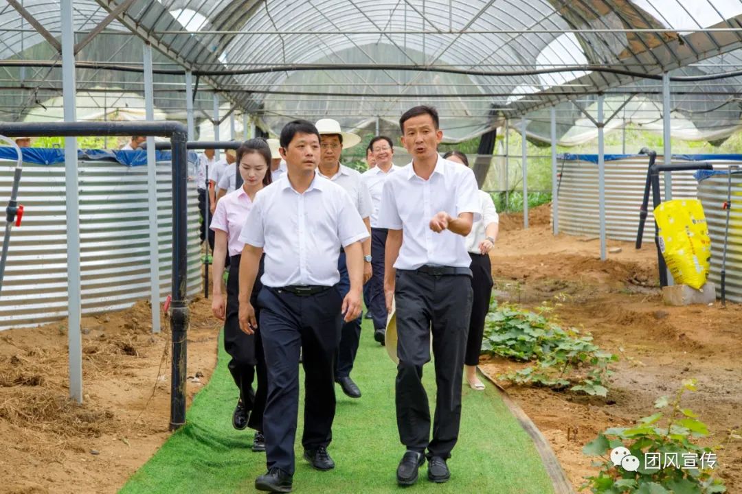 奏响新时代乡村振兴交响曲,团风县乡村振兴局项目公示