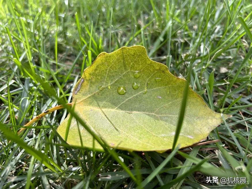 大屏、性能强、长续航，iPhone14Plus会打动你吗？