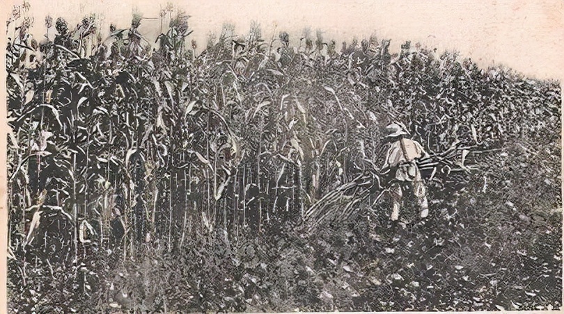 女儿乔迁之喜完整视频,女儿乔迁新居之喜