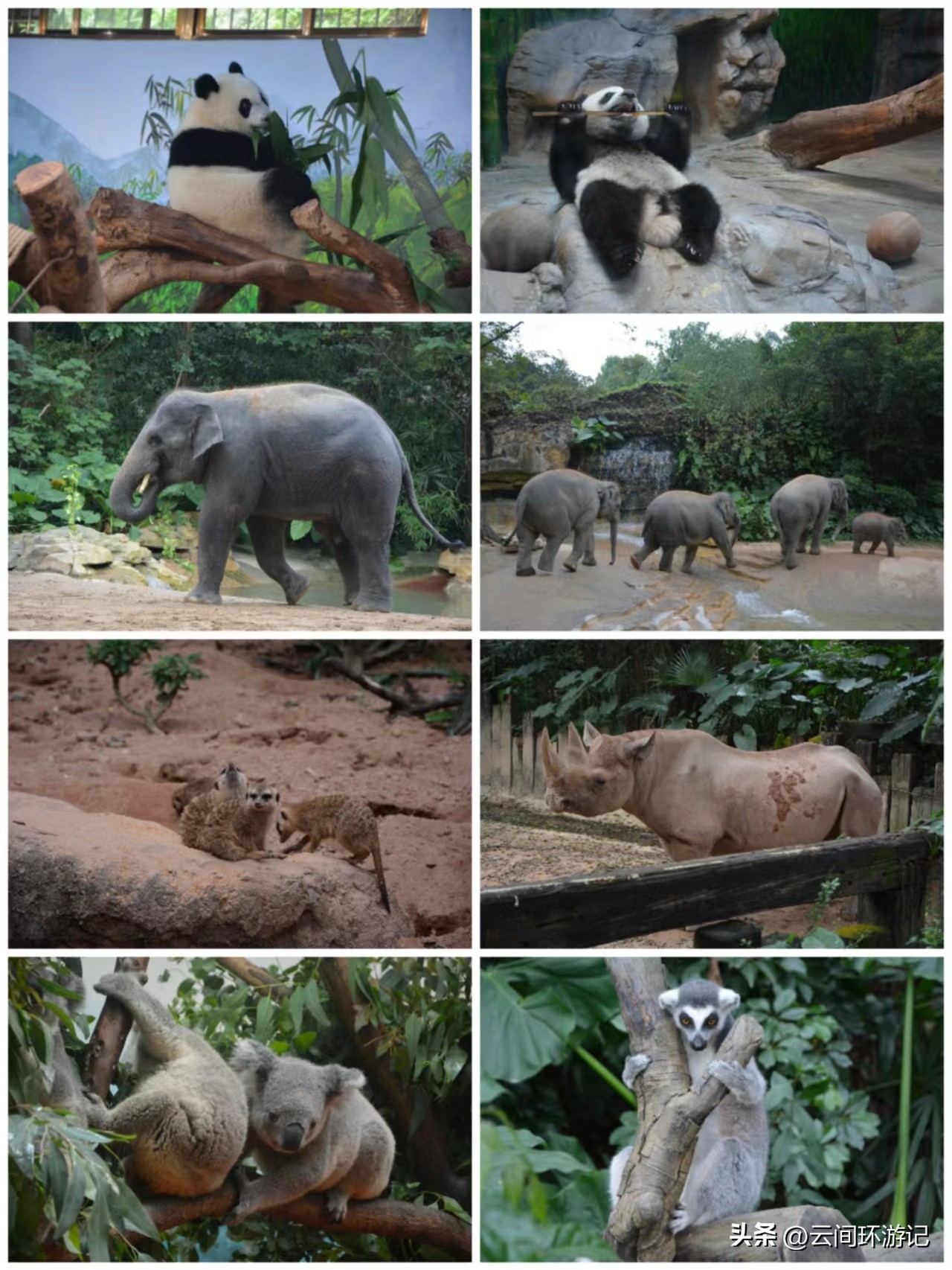 探寻广州历史,广州市羊城的来历