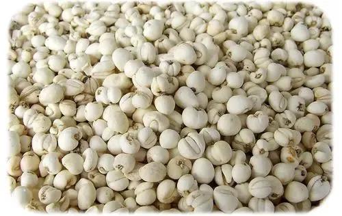 促进胃十二指肠溃疡愈合的药,促进回肠溃疡愈合的药