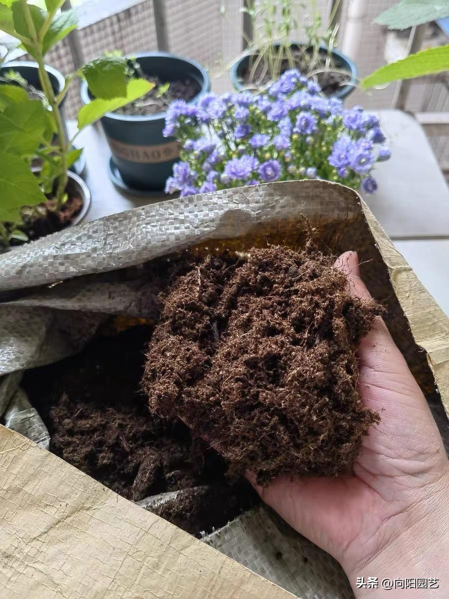 进口泥炭土哪个好,进口十大泥炭土排行