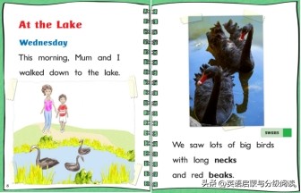 牛津树英语分级阅读家庭版,刷牛津树