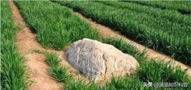 科普知识大全世界之最,世界之最百科知识大全视频讲解