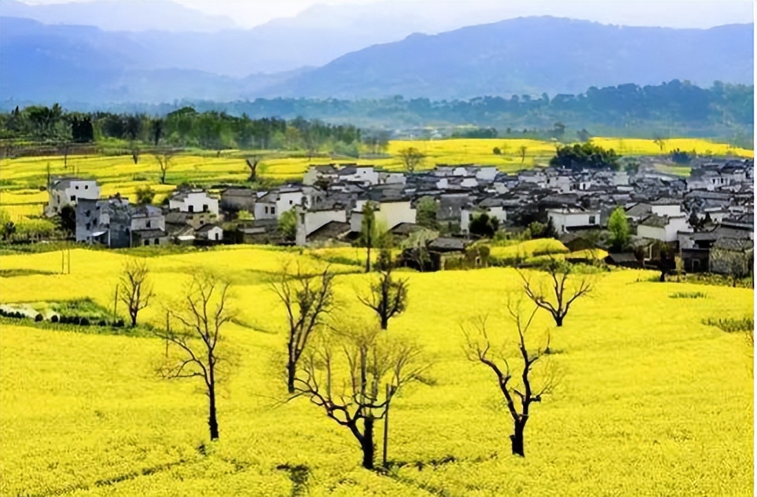 季国强,季国强的唯美诗句