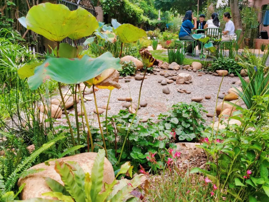 2个北大学霸，在房价10万一平的深圳市中心，造了80座花园