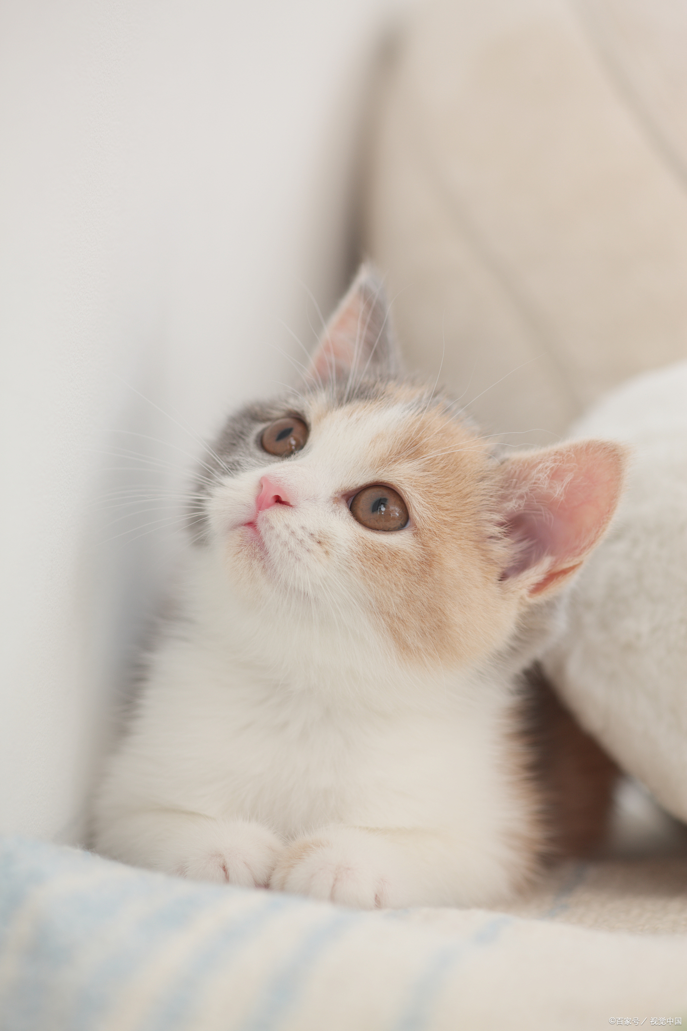 搞笑反转的文案发朋友圈,那些笑掉你下巴的沙雕神反转文案