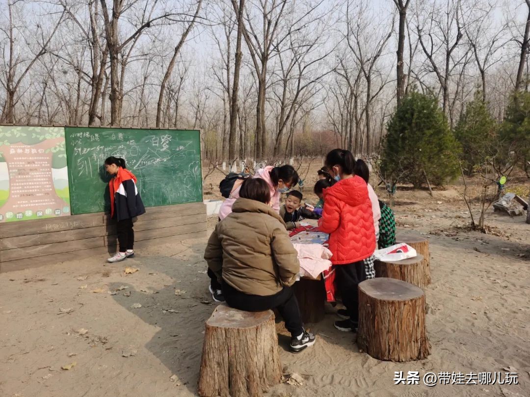 骑行国家森林公园,徒步骑行森林公园